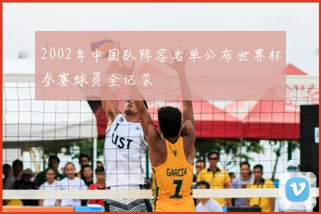 2002年中国队阵容名单公布世界杯参赛球员全记录
