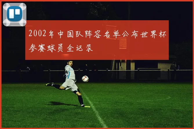 2002年中国队阵容名单公布世界杯参赛球员全记录