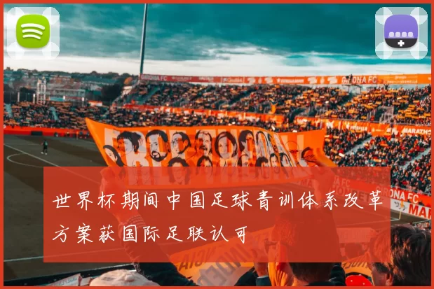 世界杯期间中国足球青训体系改革方案获国际足联认可